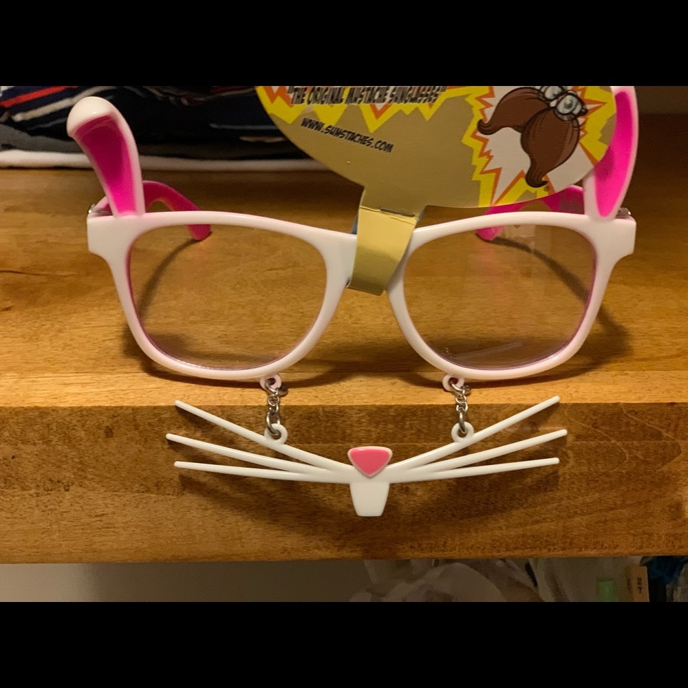 Sun staches today sunglasses